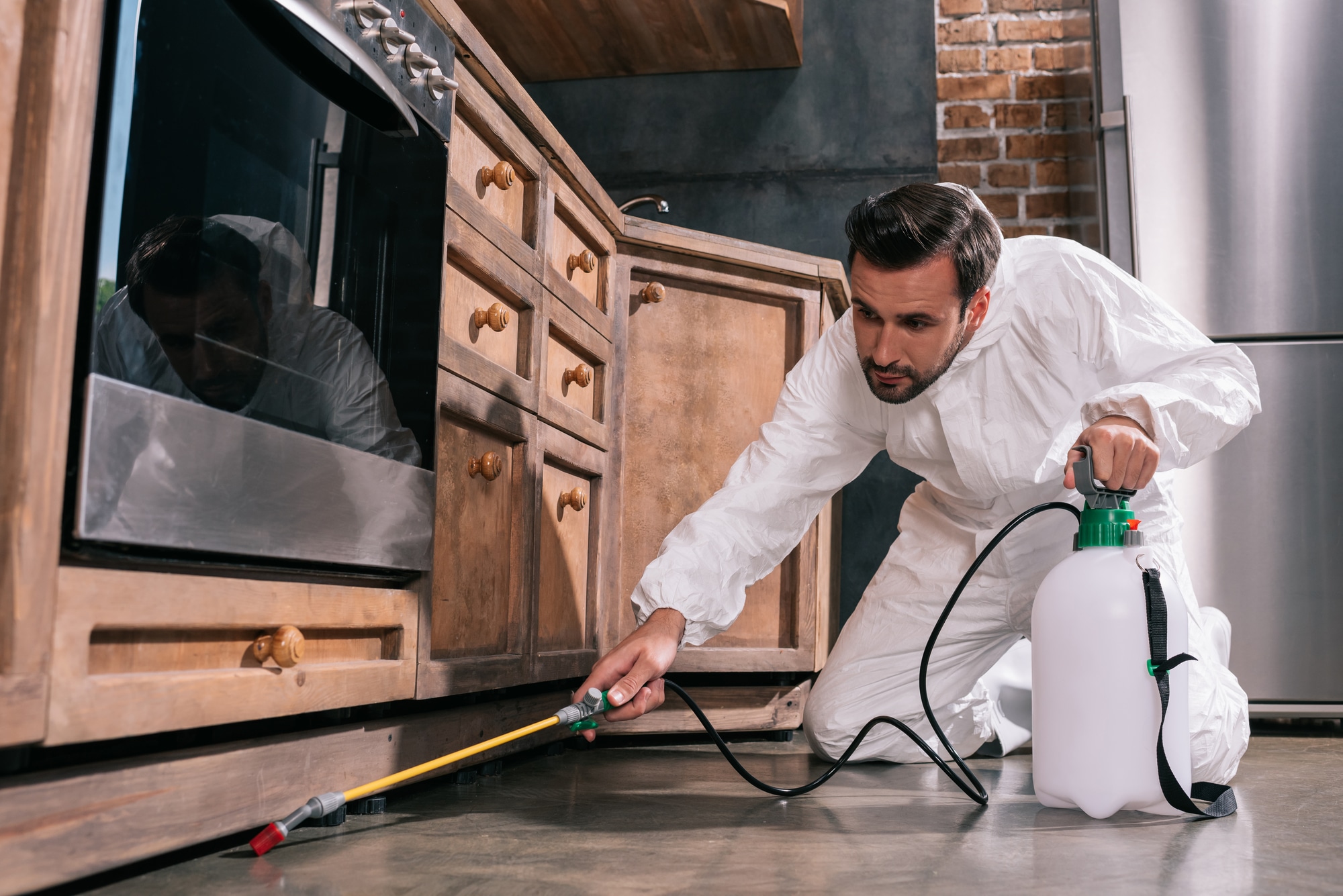 Tips For Pest Control in Kitchen
